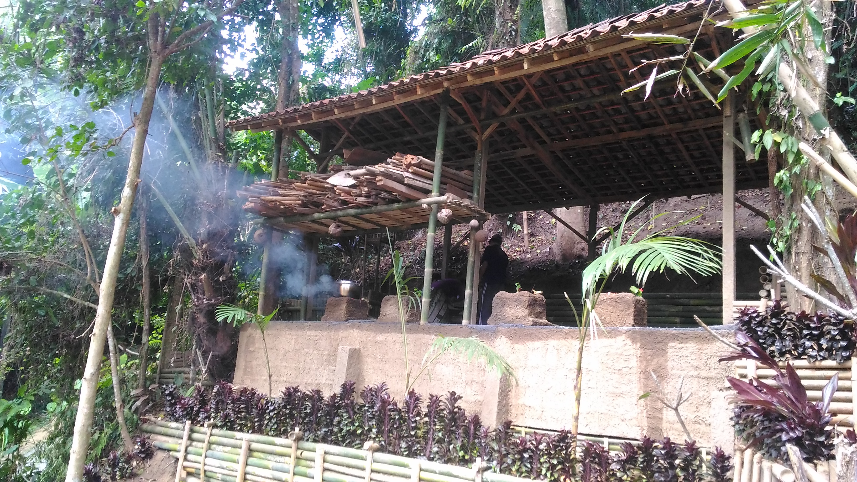 The Jungle at Bali Cebelok Gesiuh